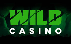 Wild Joker Casino Site: In-Depth Review of Gamings, Rewards, and Individual Experience